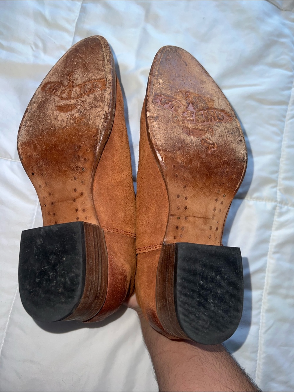 Freebird Onyx Brown Suede Ankle Booties with Side Zip - Picture 4 of 9